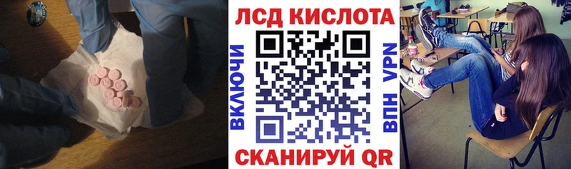 сколько стоит  Куртамыш  Лсд 25 экстази кислота 
