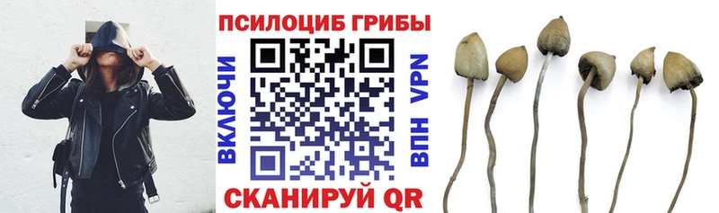 где найти наркотики  это телеграм  Псилоцибиновые грибы Psilocybine cubensis  Куртамыш 